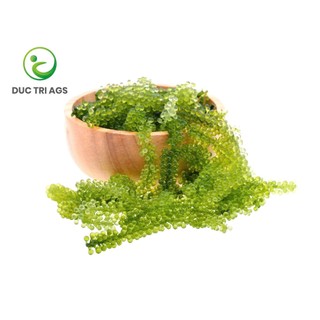 2 túi 2 kg 20 gói rong nho tách nước AGS Việt Nam - tiết kiệm cho gia đình kèm 2 chai sốt mè rang - Tiêu chuẩn