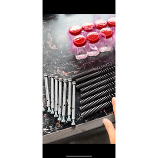 Bộ Ty con và lò xo phuộc trước EVO200/Neo/Lite