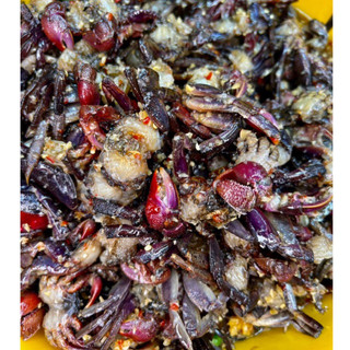 500g Ba khía sữa (Kèm ớt xanh và tỏi)
