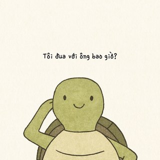 Vòng tay Rùa Bò