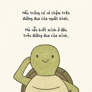 Vòng tay Rùa Bò