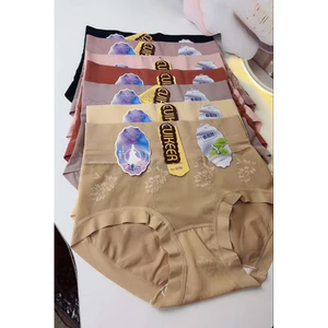 Set 3-5 quần lót cạp cao cotton cao cấp giúp che khuyết điểm vòng v2 cho nữ