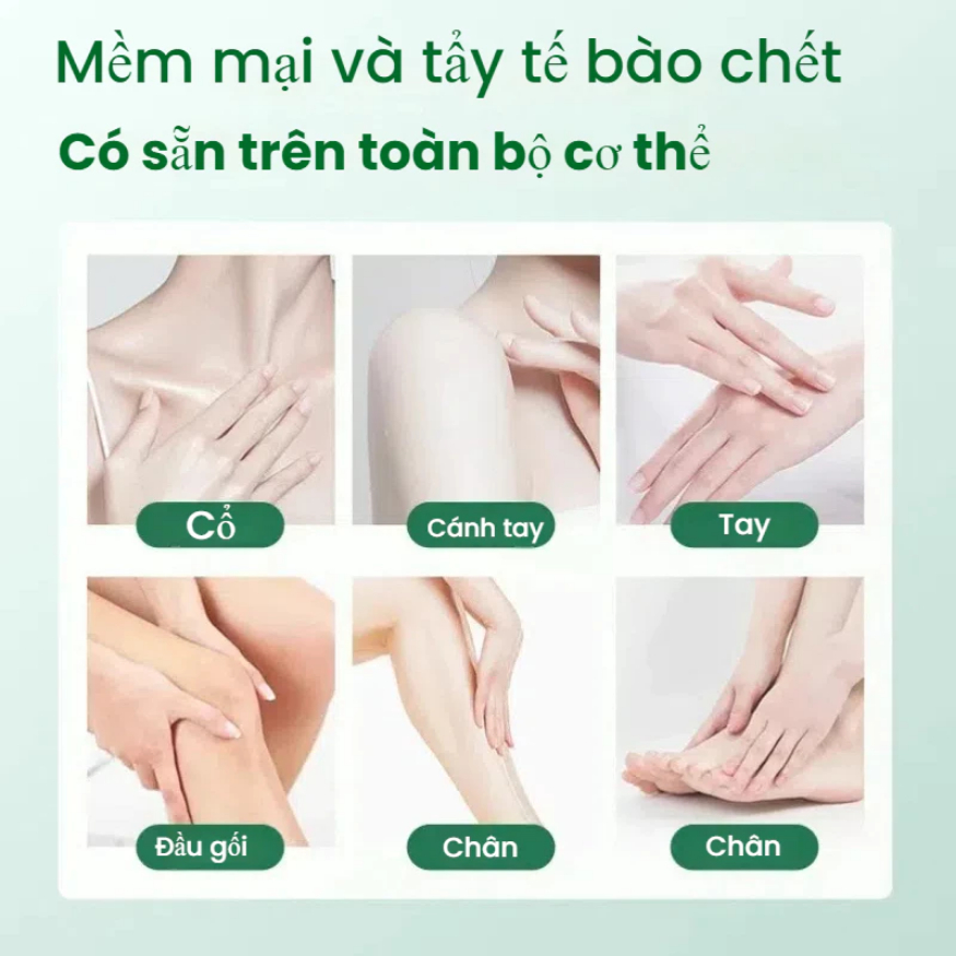 Sử Dụng Chai Bộ Trong Đời Sống