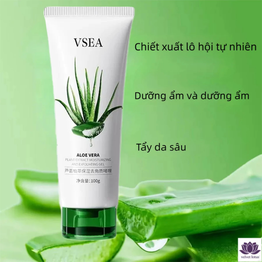 Thiết Kế Của Bộ Cao Cấp