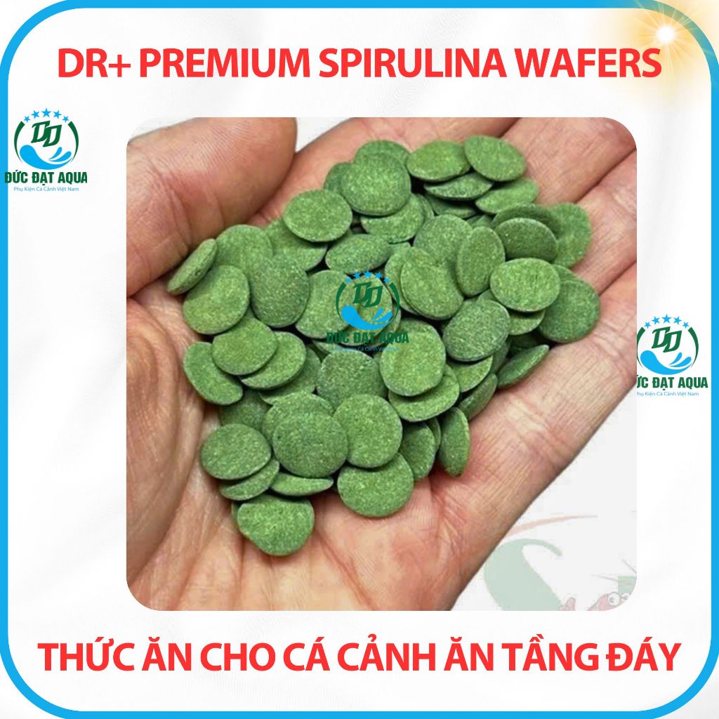 Thức ăn cho cá, ăn tầng đáy không làm đục nước cá biển, và nước ngọt Dr+ Premium Spirulina Wafers 3