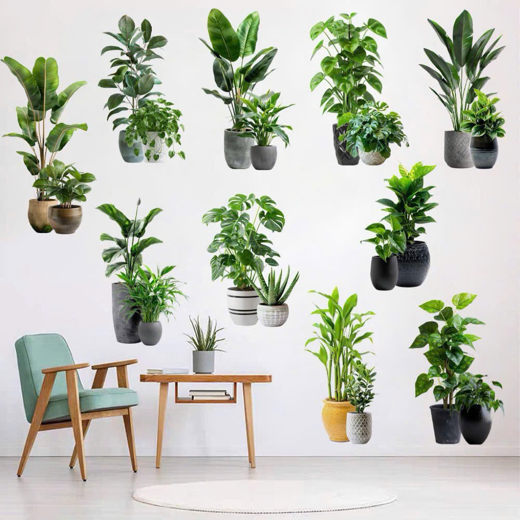 Combo 10 chậu cây decal dán tường sẵn keo decor nhà cửa