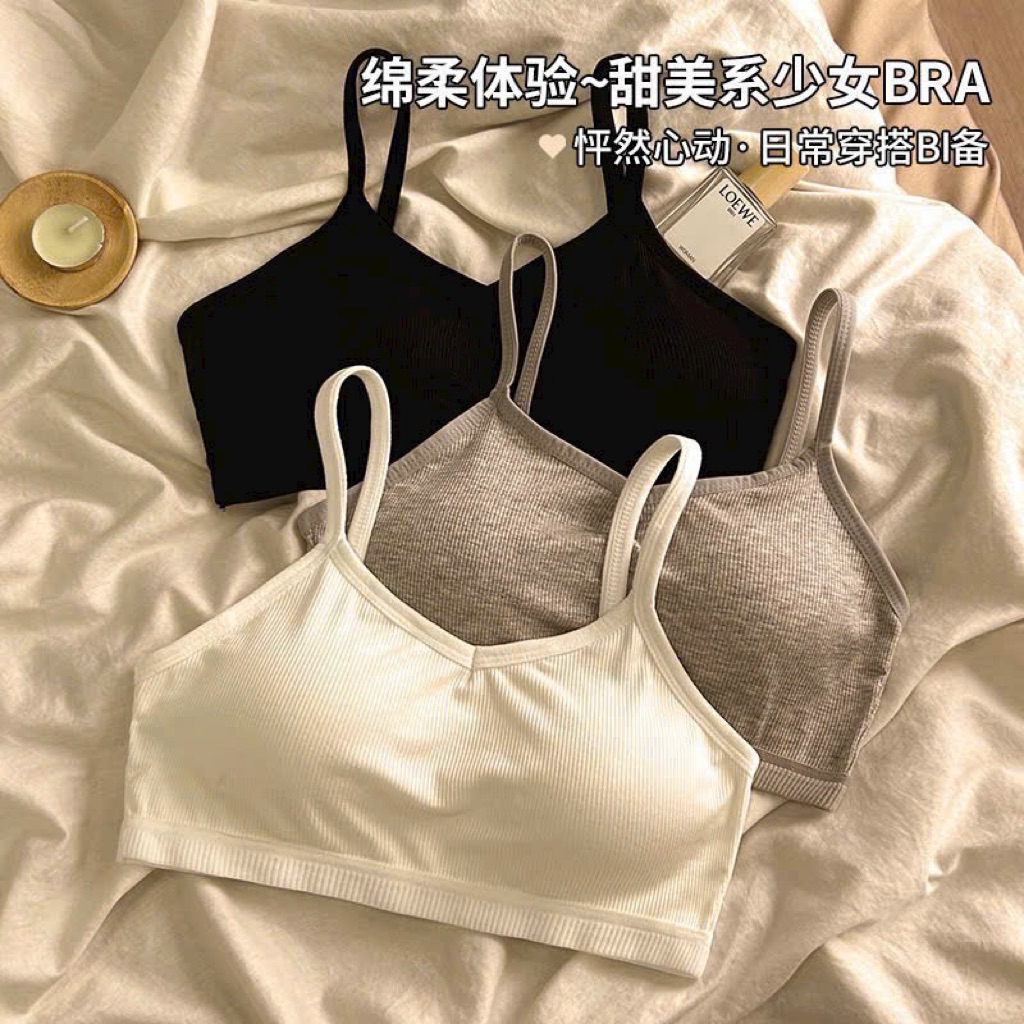 Áo bra cotton chữ U đệm bàn tay mẫu mới 358