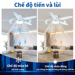 Quạt trần 3 Chế Độ Đèn, Động Cơ Lõi Đồng, 5 Cánh ABS phù hợp mọi không gian