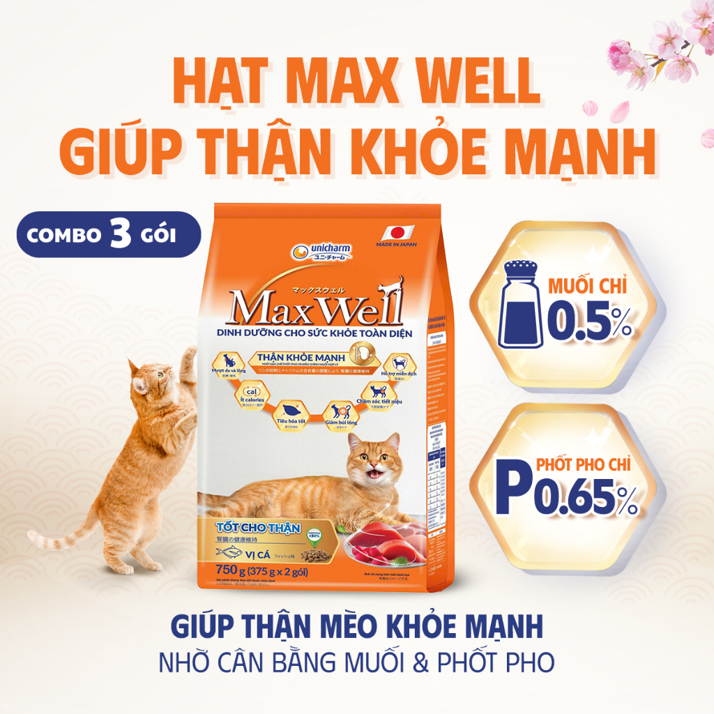 [V] Combo 3 Thức ăn hạt cao cấp cho mèo khỏe toàn diện, tốt cho thận Max Well từ Nhật Bản