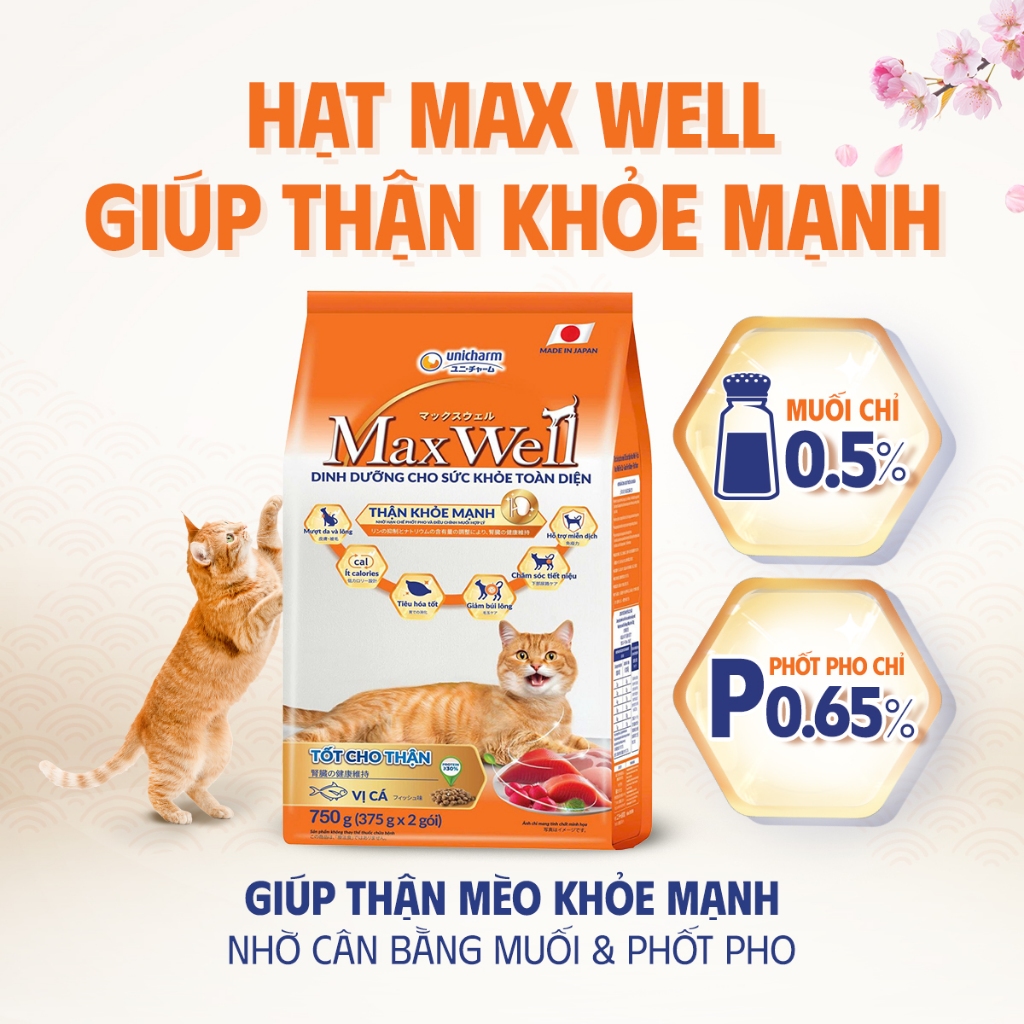 [V] Combo 3 Thức ăn hạt cao cấp cho mèo khỏe toàn diện, tốt cho thận Max Well từ Nhật Bản