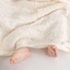 Len Susan Family Bông Sữa, Nhung Đũa cỡ sợi 3mm (Full bảng màu)