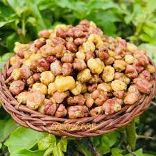Ngô nếp nương tím rang củi Điện Biên 250gr phomai - Thế giới ăn vặt Kiki