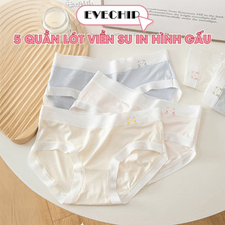 Combo 5 Quần Lót Nữ Viền Su Lụa Mềm Mại, Set 5 Quần Chip Nữ Đáy May Kháng Khuẩn AMYBRA L1164