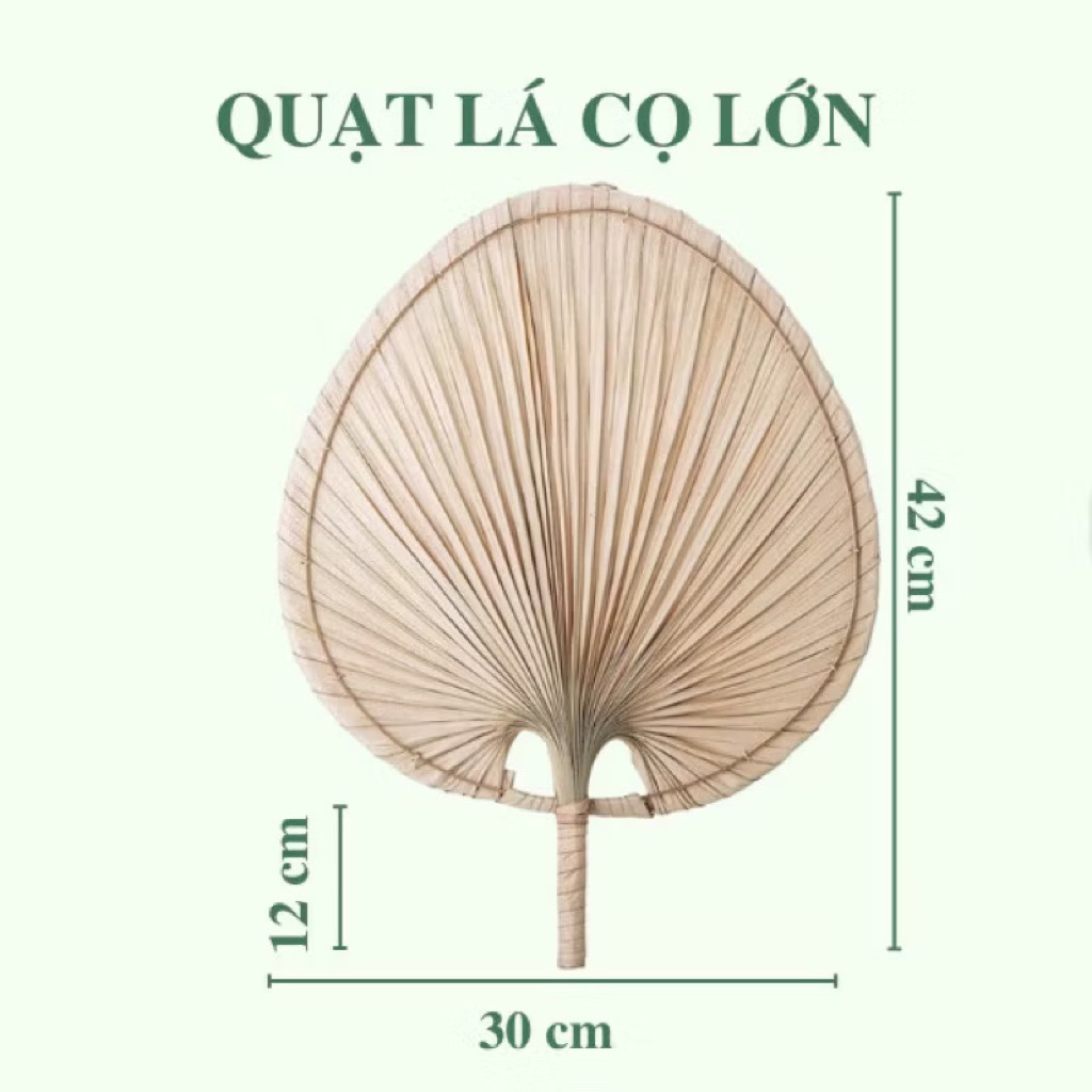 Sale off 60%Quạt Tay Lá Cọ Đan Thủ Công – Phong Cách Dân Dã – Trang Trí Không Gian quán,.....