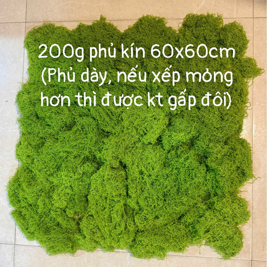 Cỏ xanh gói 100-200g Cỏ rêu sợi nhân tạo phủ chậu cây, trang trí bồn hoa, tường studio S0278