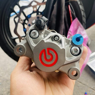 Tem Sticker DTF Brem.Bo Dán Trang Trí Heo Dầu Nhiều Màu |SGDC - 1 Cái/Cặp|