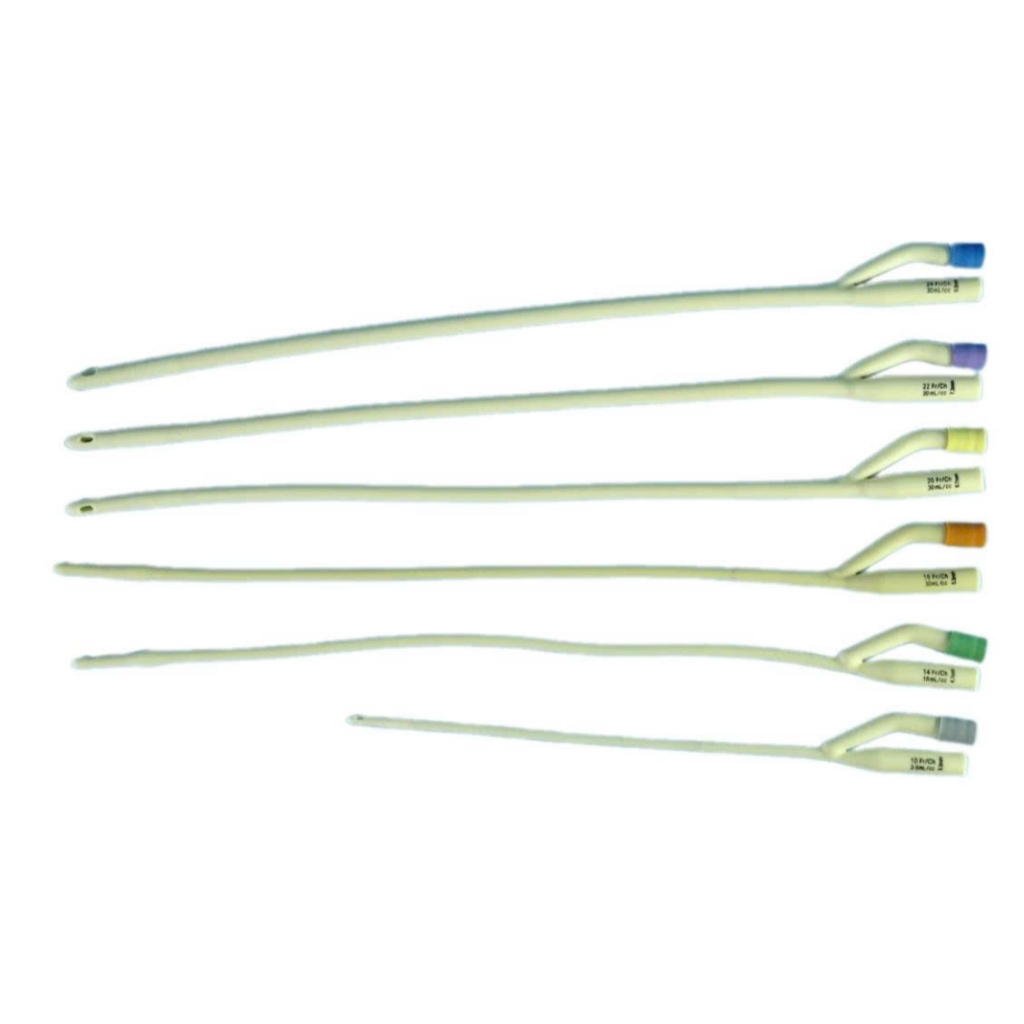 Hộp 10 sợi dây Ống Thông Tiểu Foley 2 Nhánh Các Số