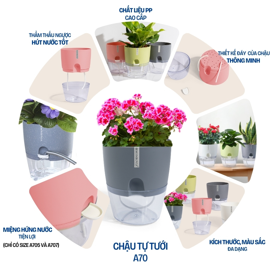 Chậu tự tưới MONROVIA A7 – Cao cấp, sang trọng. Decor cây cảnh, hoa, lan, bàn làm việc, văn phòng