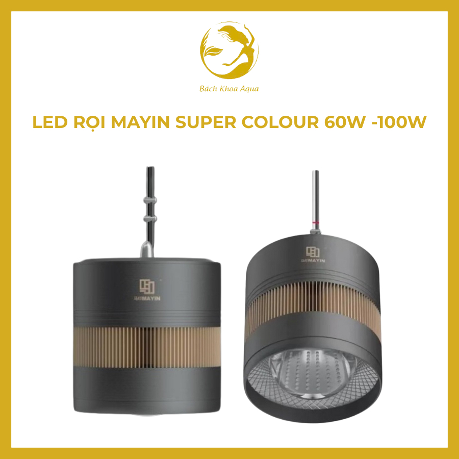Đèn led rọi MAYIN SUPER COLOUR 60W -100W cao cấp cho cá rồng Huyết long ...