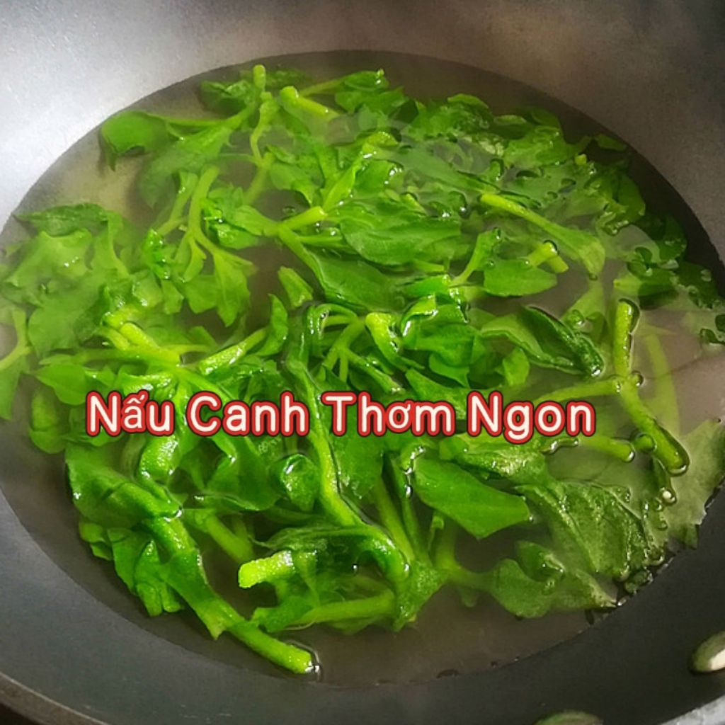 Hạt Giống Rau Kim Cương Nhập Khẩu 💯 Đặc Sản Cây Trồng Ăn Cực Ngon, Dễ Trồng Chất Lượng Cao