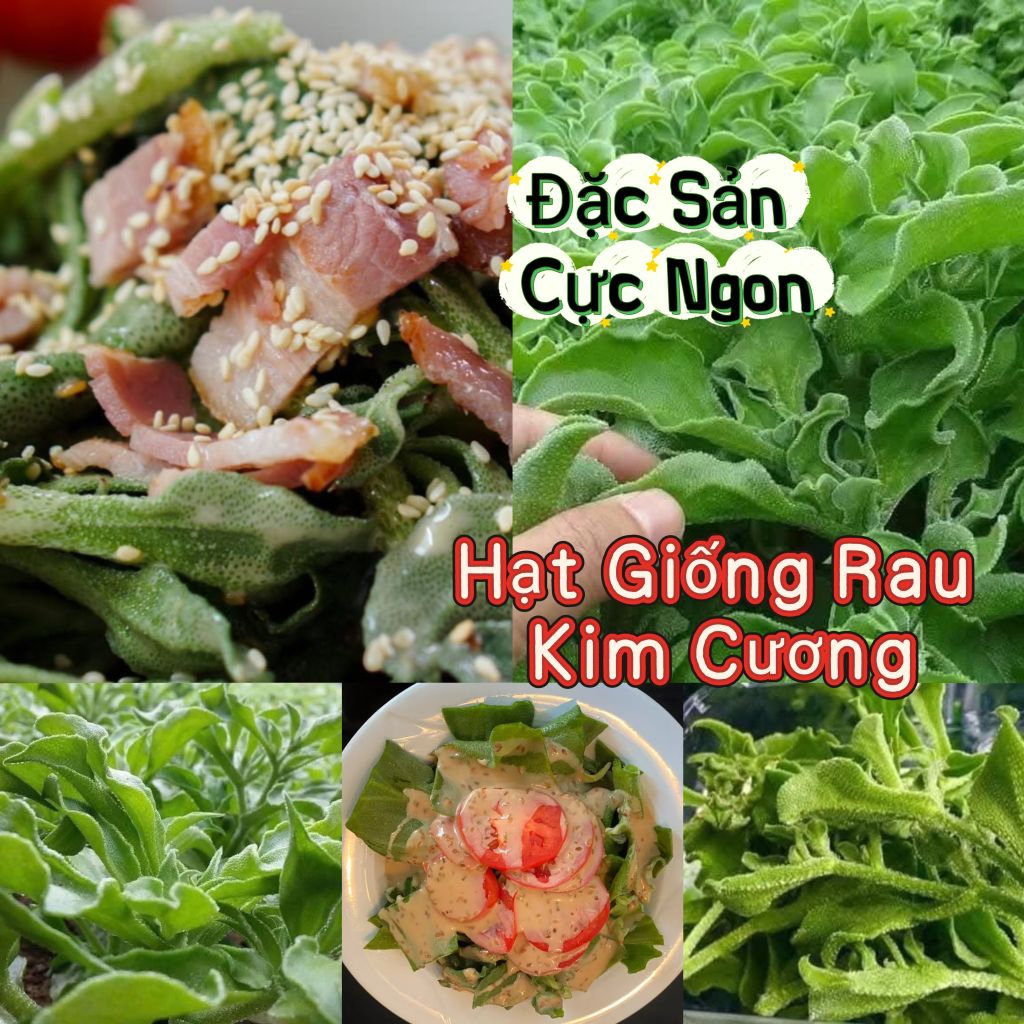 Hạt Giống Rau Kim Cương Nhập Khẩu 💯 Đặc Sản Cây Trồng Ăn Cực Ngon, Dễ Trồng Chất Lượng Cao