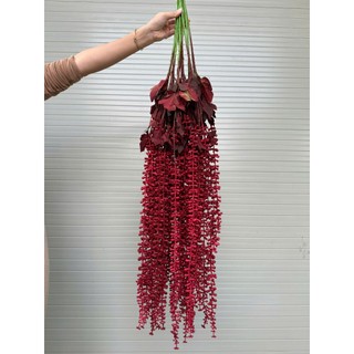 combo 5 rủ tiêu cao su vip 112cm