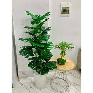 cây trầu bà nhân tạo cao 1m2. cây giả trang trí nhà cửa và nơi làm việc