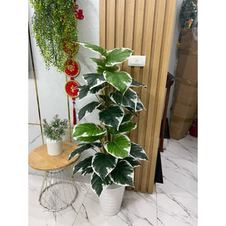 cây trầu bà nhân tạo cao 1m2. cây giả trang trí nhà cửa và nơi làm việc