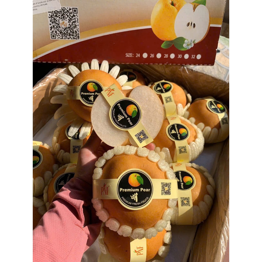 ( JENNY FRUIT ) Lê  hàn trái đẹp 1 trái