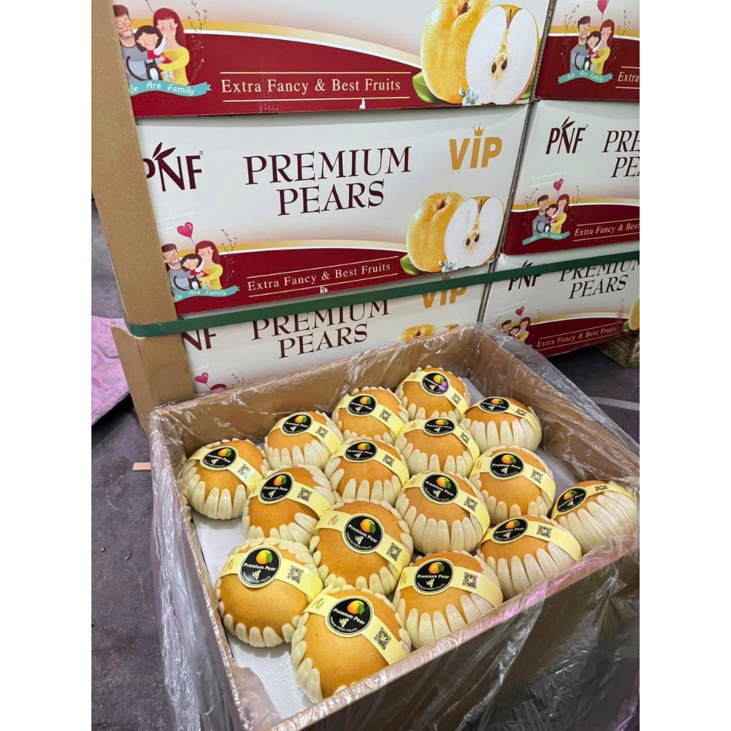 ( JENNY FRUIT ) Lê  hàn trái đẹp 1 trái