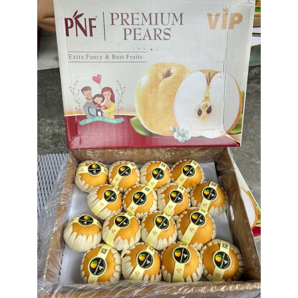 ( JENNY FRUIT ) Lê  hàn trái đẹp 1 trái