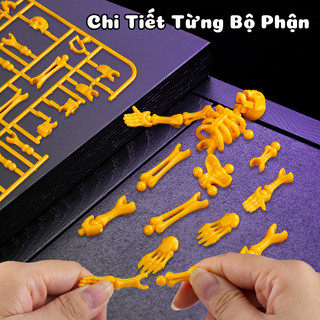 Đồ Chơi Lắp Ráp Hiệp Sĩ Với Bộ Xương Khớp Người Đàn Ông Dummy An Toàn, Khớp Xoay Linh Hoạt, Siêu Độc Lạ Cho Bé