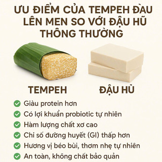 TEMPEH HẠT ĐIỀU (Số 11)- (đạm thực vật thay thịt, thay đậu hũ)