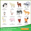 Thùng Đồ Chơi Mô Hình Động Vật 58 Chi Tiết GutyKids Chất Liệu Nhựa ABS An Toàn, Giúp Bé Khám Phá Thế Giới Tự Nhiên