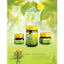 Dầu Cù Là Thơm Clinacanthus Nuthans Green Herb 50Gr Thái Lan - SHOP DẦU DOKRAK