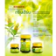 Dầu Cù Là Thơm Clinacanthus Nuthans Green Herb 50Gr Thái Lan - SHOP DẦU DOKRAK
