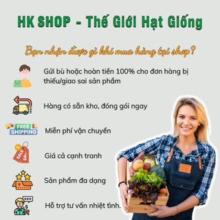 Hạt Giống Rau Muống Lá Tre Cao Sản (Gói 20g) Dễ Trồng, Nhanh Thu Hoạch, Trồng Quanh Năm