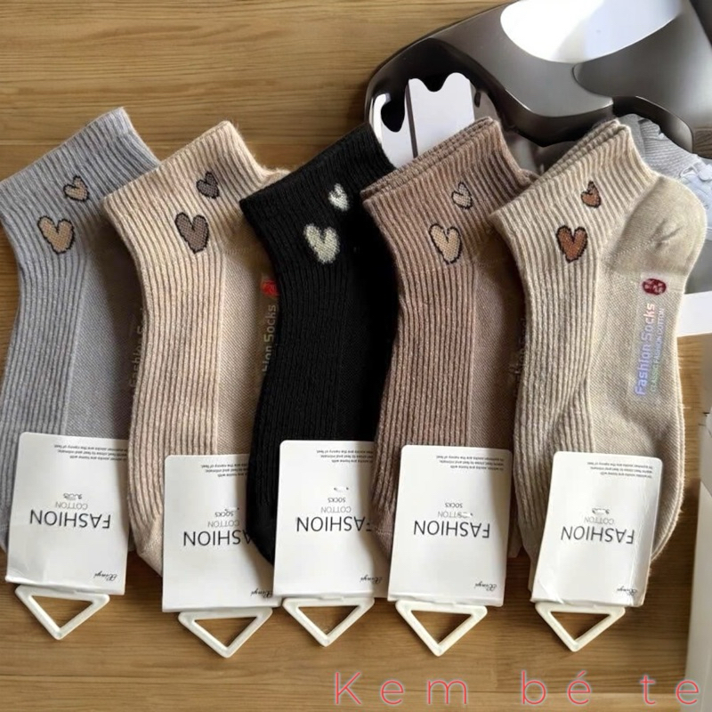 Set nâu 19
