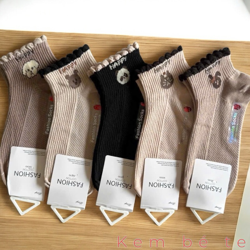 Set nâu 23