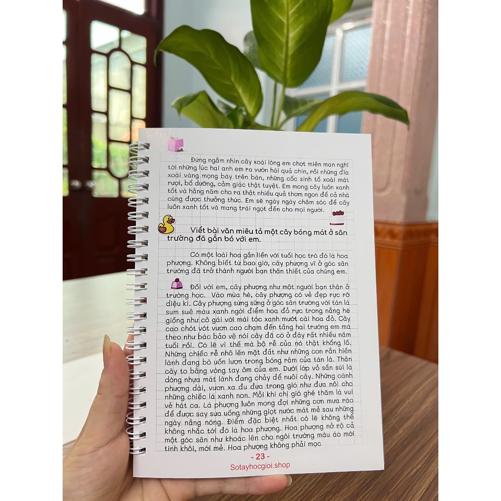 Sketchnote Sổ tay học giỏi Tiếng Việt 4, tổng hợp đầy đủ kiến thức Tiếng Việt 4