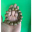 Trầm hương tốc kiến-vòng tay nam nữ cỡ hạt 14 ly loại cao cấp (loại 1) Tiên Phước Quảng nam.