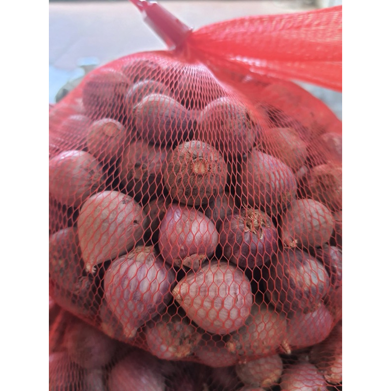 (Hoả Tốc HN) 1kg Tỏi Cô Đơn 1 nhân 1 nhánh ( kèm túi lưới)