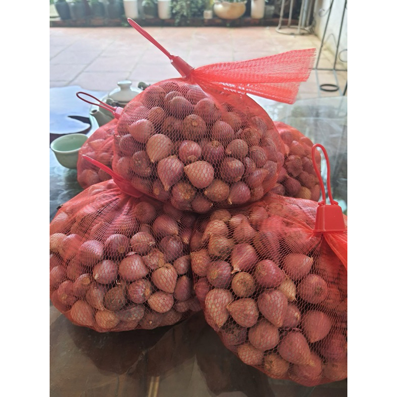 (Hoả Tốc HN) 1kg Tỏi Cô Đơn 1 nhân 1 nhánh ( kèm túi lưới)