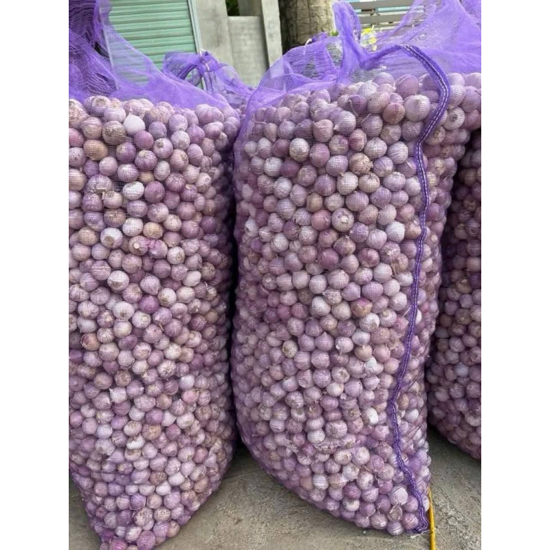 (Hoả Tốc HN) 1kg Tỏi Cô Đơn 1 nhân 1 nhánh ( kèm túi lưới)