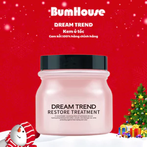 Mặt Nạ Ủ Dưỡng Tóc Hương Nước Hoa DREAM TREND Restore Treatment 250g
