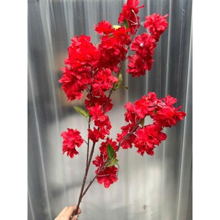 Combo 5 anh đào chùm 3 nhánh lá in gân- hàng loại 1