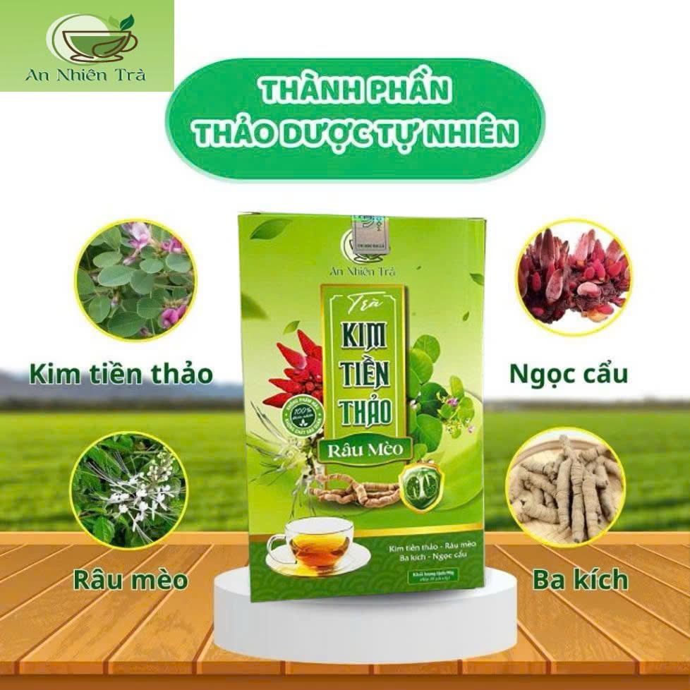 Trà Bổ Thận Kim Tiền Thảo Râu Mèo Thiên Mộc Hỗ Trợ Giải Độc, Thanh Nhiệt - 30 Túi Lọc Tiện Lợi 6
