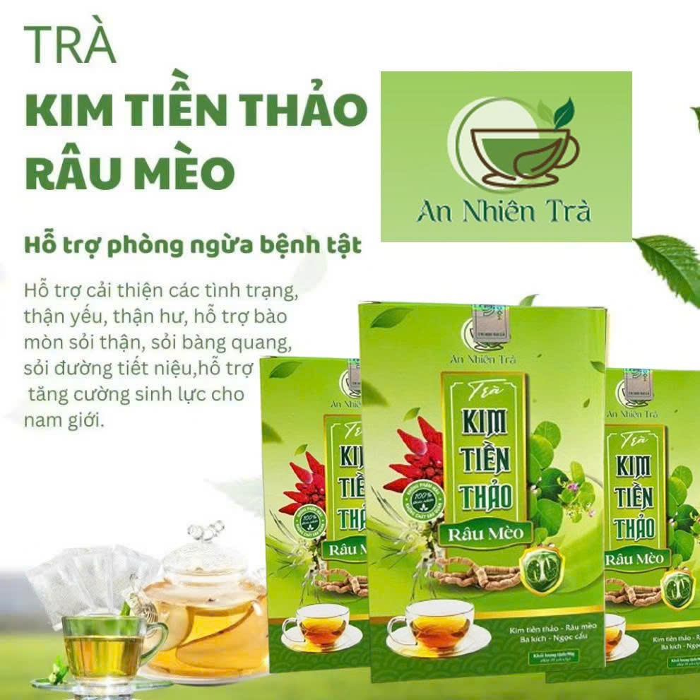 Trà Bổ Thận Kim Tiền Thảo Râu Mèo Thiên Mộc Hỗ Trợ Giải Độc, Thanh Nhiệt - 30 Túi Lọc Tiện Lợi 5