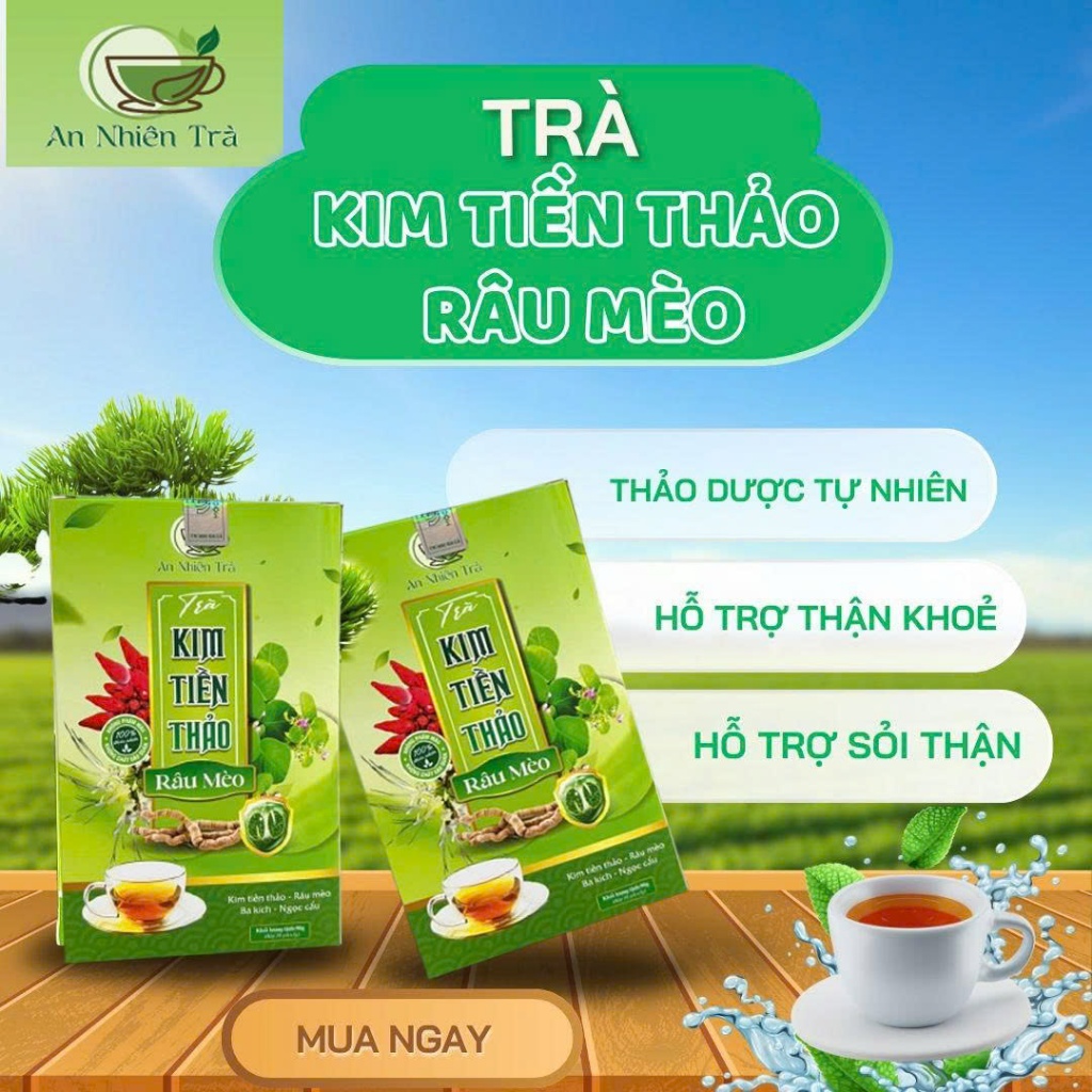 Trà Bổ Thận Kim Tiền Thảo Râu Mèo Thiên Mộc Hỗ Trợ Giải Độc, Thanh Nhiệt - 30 Túi Lọc Tiện Lợi 7
