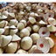 giảm giá 50% Nón 13.v 14v, Nón lá trang trí , Nón người lớn đội đẹp , Nón cho bé đội chụp ảnh